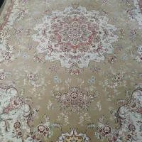 یک جفت ۹ متری گردوی تراکم ۱۲۰۰ مشهد حلال