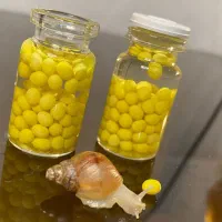 فروش حلزون و خاویار