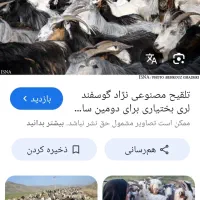 معاوضه 20 بزگلچین با بره ومیش