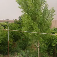 فروش باغ ویلا