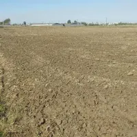 اول جاده شیرمرغ فروش فوری یک ونیم هکتار زمین