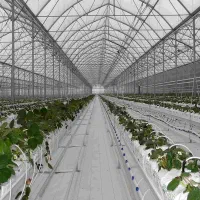 گلخانه هیدروپونیک شبستر|فروش دفتر صنعتی، کشاورزی، تجاری|شبستر, |دیوار