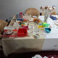 وسائل جانبی پرندگان
