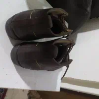 کفش|کیف، کفش، کمربند|کرج, حیدرآباد|دیوار