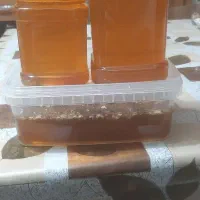 عسل طبیعی کوهستان الموت قزوین|خوردنی و آشامیدنی|رشت, کوی مهر|دیوار