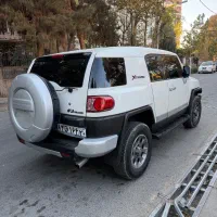 شیشه دودی(محافظ تریم داخل)