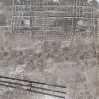 تله قفسی با تور سهره زمینی|لوازم جانبی حیوانات|مشهد, شهید معقول|دیوار