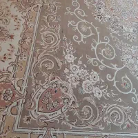 یک عدد فرش 12|فرش|شاهینشهر, نسیم ۵|دیوار