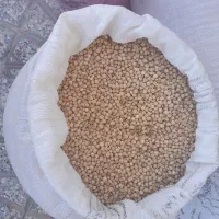 نخودآبگوشتی|عمده‌فروشی|دره شهر, |دیوار