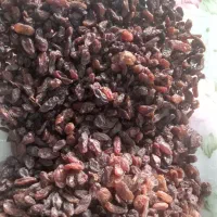 پخش کشمش افتابی سرکه ای|خوردنی و آشامیدنی|ارومیه, |دیوار