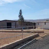 پانسیون اسب|اسب و تجهیزات اسبسواری|سیاخ دارنگون, |دیوار