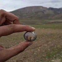 انگشتر شجر کلکسیونی