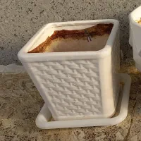 جاحبوبات و جاادویه|ظروف نگهدارنده، پلاستیکی، یک‌بارمصرف|سقز, |دیوار