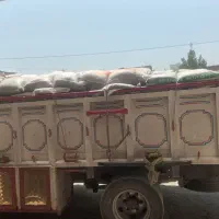خوراک دام یونجه پلت|لوازم جانبی حیوانات|مشهد, چهاربرج|دیوار
