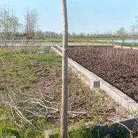 فروش زمین سرمایه گذاری ساحل چاف ۲۵۵ متر|فروش زمین و ملک کلنگی|چاف و چمخاله, |دیوار