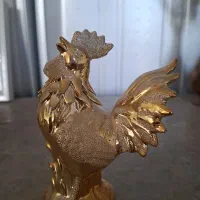 خروس|حیوانات مزرعه|شیراز, گلشن|دیوار