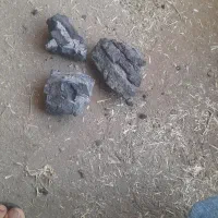 فروش کله خنگ و زغال