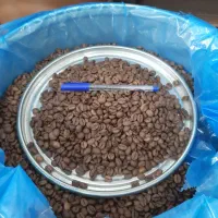 دانه قهوه عربیکا و ربوستا|کافیشاپ و رستوران|اراک, |دیوار