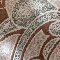 فروش  ذرت علوفه  ای بسیار عالی