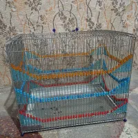 قفس سهره غلامی نونو