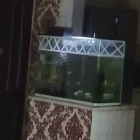 اکواریوم شیشه خم شرکتی