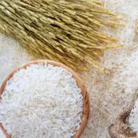 برنج هاشمی آستانه درجه یک درشت دانه و نیمدانه