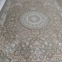 فرش ۱۲متری|فرش|اشتهارد, |دیوار