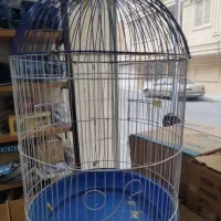 قفس گرد بزرگ طوطی|لوازم جانبی حیوانات|اندیشه, اندیشه فاز ۱|دیوار