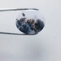 سنگ شجر منظره