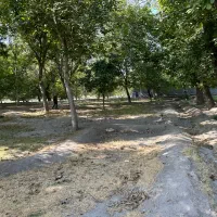 باغ در منطقه خوش آب و هوا باویل|فروش دفتر صنعتی، کشاورزی، تجاری|اسکو, |دیوار