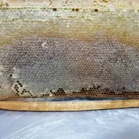 عسل درجه یک مستقیم از زنبوردار|عمدهفروشی|مرودشت, ثبت احوال|دیوار