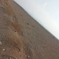 اجاره آب و زمین کشاورزی