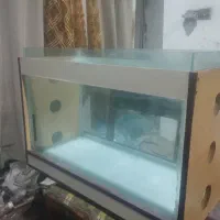 جایی آکواریوم 75*35