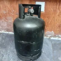 پیک نیک دوقلو
