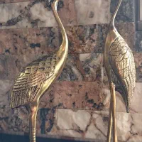 دو جفت قوی عاشق