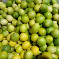 آبلیمو و آبغوره