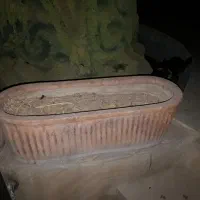گلدان همراه با خاک