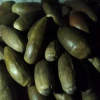 بلوط|خوردنی و آشامیدنی|صدرا-فارس, فاز ۲|دیوار