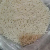 برنج هاشمی گیلان