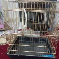 باسلام قفس طوطی بادوام کاسکو  با آب خوری ودون خوری