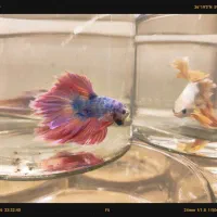 فایتر وارداتی کلی جزئی تنوع بالا قیمت پایین شارژشد