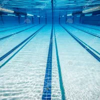 2عدد بلیط استخر کارگران یا کارا کوشا