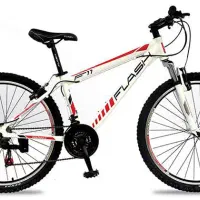 دوچرخه فلش ۲۶