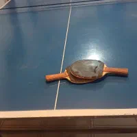 میز تنیس.