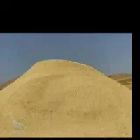 کاه‌گندم‌دیم‌درجه‌یک