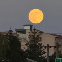 دیجیتال خارج بگیر