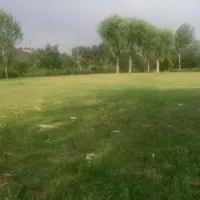 خونه ندارم همخونه میشم