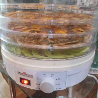 میوه خشک کن کلورانس با کارتن