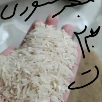 برنج|خوردنی و آشامیدنی|بندر ترکمن, |دیوار