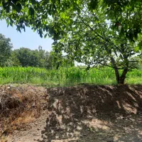 فروش باغ عجب شیر روستای محمود آباد|فروش خانه و ویلا|عجب شیر, |دیوار